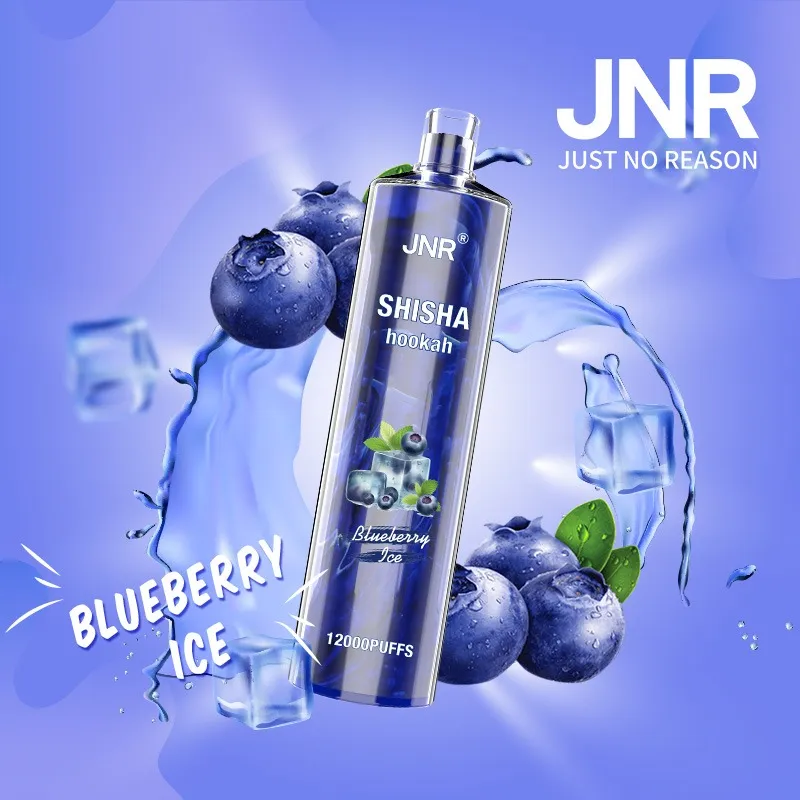 JNR Shisha Hookah Blueberry Ice 12000