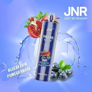 JNR SHISHA HOOKAH – BLUEBERRY POMEGRANATE 12000 PUFFS