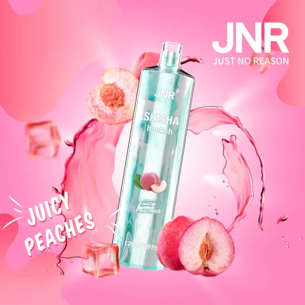 JNR Shisha Hookah Juicy Peaches 12000