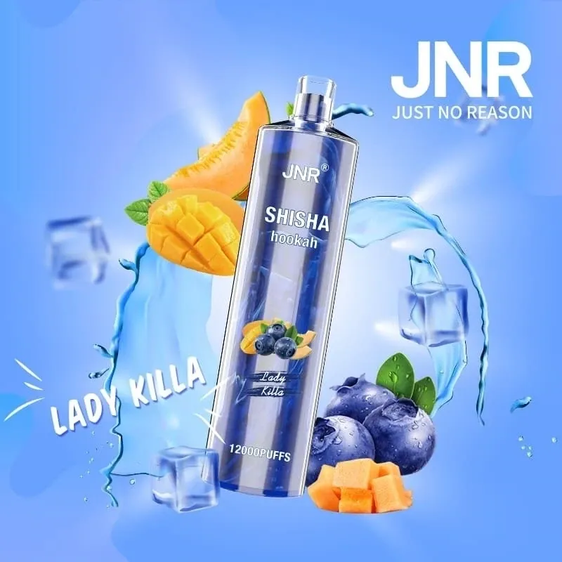 JNR Shisha Hookah Lady Killer 12000