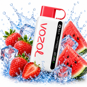VOZOL STAR – Strawberry Watermelon 9000 Puffs